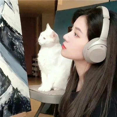 驴子潘趣