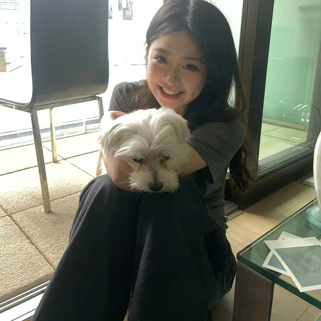 神犬出击