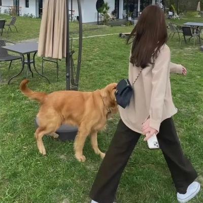 陀飞轮